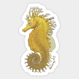 Hippocampus Guttulatus Sticker